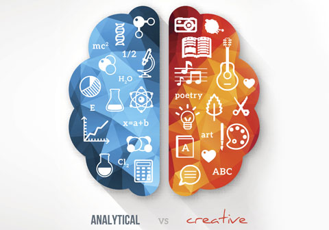 illustration of two sides of brain analytical vs creative
