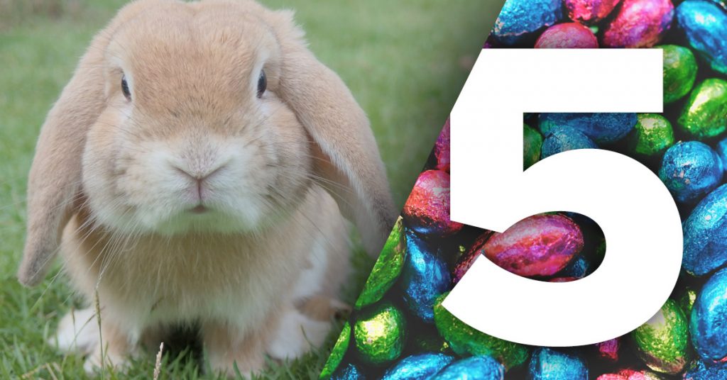Easter bunny with number 5